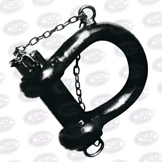 بوائے بیڑی کی قسم B